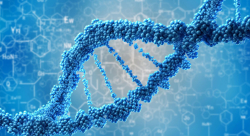 Nika Marković pozvana na županijsko Natjecanje iz biologije